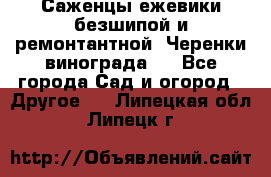 Саженцы ежевики безшипой и ремонтантной. Черенки винограда . - Все города Сад и огород » Другое   . Липецкая обл.,Липецк г.